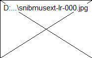 snibmusext-lr-000.jpg