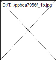 ppbca7956f_1b.jpg