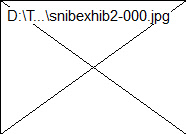 snibexhib2-000.jpg